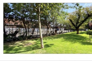 Enlarge sale Photo